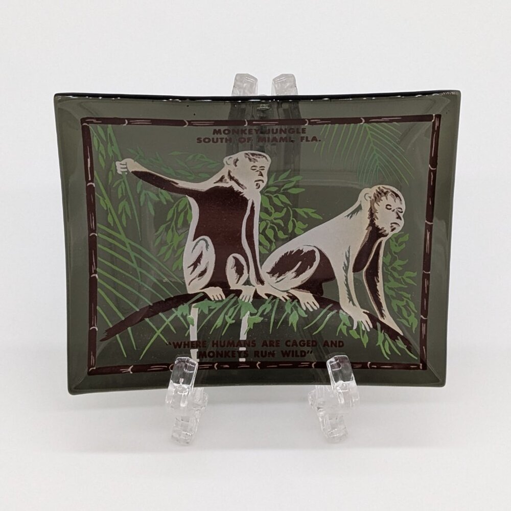 Vintage Monkey Jungle Glass Souvenir Dish Miami Florida Green Brown Chimp Zoo - Picture 2 of 6